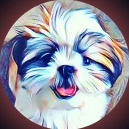 Casperr Indian Reaction creator avatar