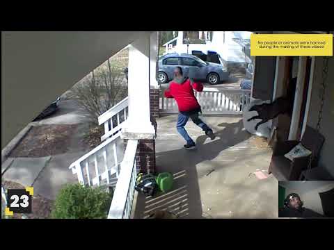 Video thumbnail: delivery man vs Dogs