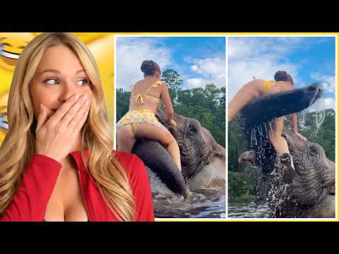 Video thumbnail: This Elephant Was NOT Having It