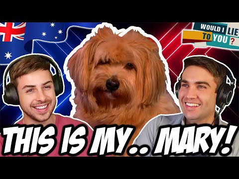 Video thumbnail: THIS IS MY… Mary The Dog! | WILTY Reaction