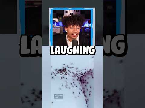 Thumbnail for INSANE SCARY SPIDERS!!