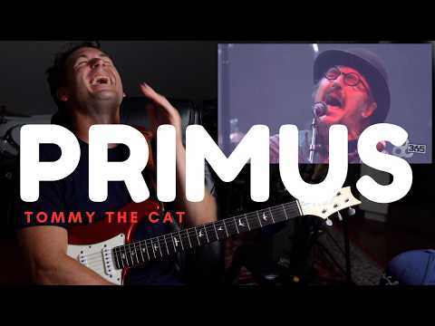 Thumbnail for Guitar Teacher REACTS: PRIMUS "Tommy The Cat" - Bonnaroo 2011