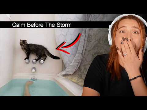 Thumbnail for Lindsey Stole My Channel To Post This