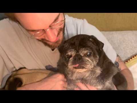 Video thumbnail: Our Old Man Is Getting Old