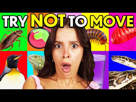 Thumbnail for EXTREME Try Not To Move Challenge!
