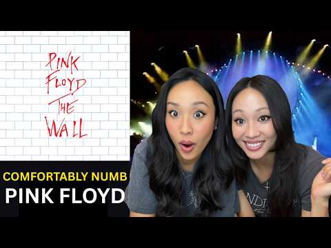 Video thumbnail: Pink Floyd - Comfortably Numb (Pulse '94) | FIRST TIME REACTION