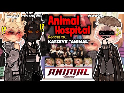 Thumbnail for (🇺🇲🇧🇷) Animal Hospital Reacts To KATSEYE "Animal" MV || Anomaly Intern AU | Angst | 2x Speed | GACHA