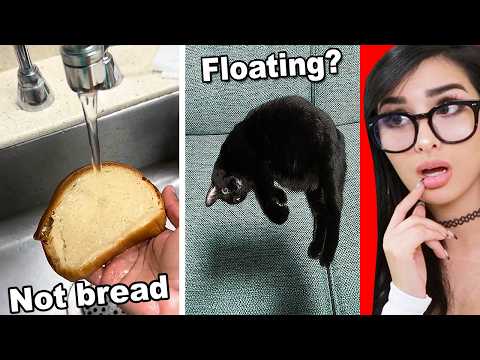 Video thumbnail: TikToks That Will Make Your Brain Hurt