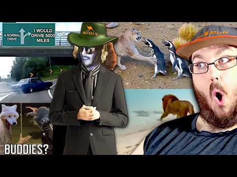 Thumbnail for More Parz Certified Australia - The worlds LONGEST roadtrip & Crazy Animals Crossover Event REACTION