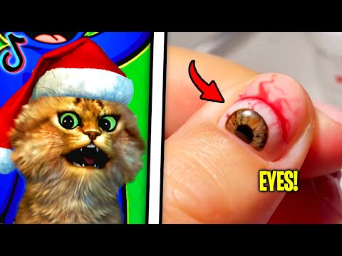 Thumbnail for Reacting To The FUNNIEST Videos (TRY NOT TO LAUGH CHALLENGE)