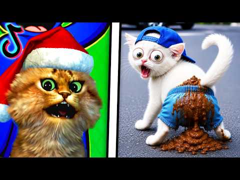 Thumbnail for Reacting To The FUNNIEST Videos (TRY NOT TO LAUGH CHALLENGE)